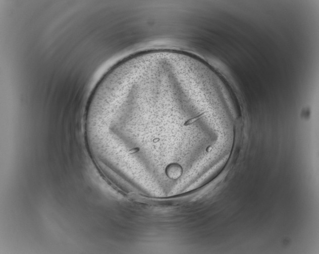 X0000113631288200910091547