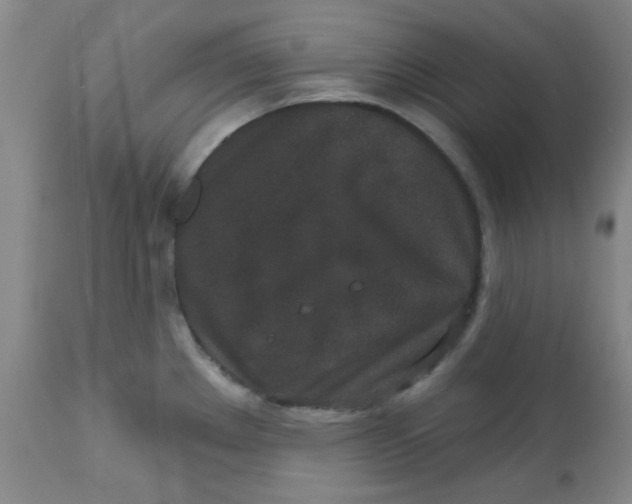 X0000113631289200910091547