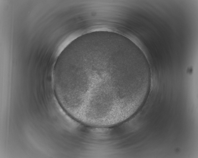 X0000113631290200910091547