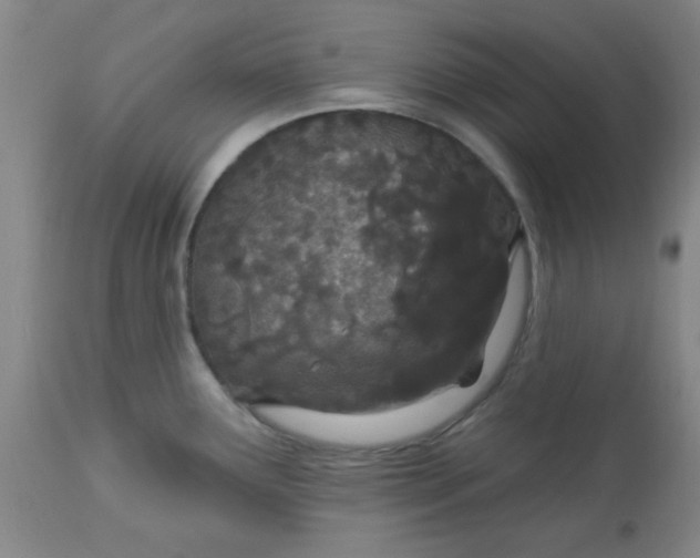 X0000113631291200910091546