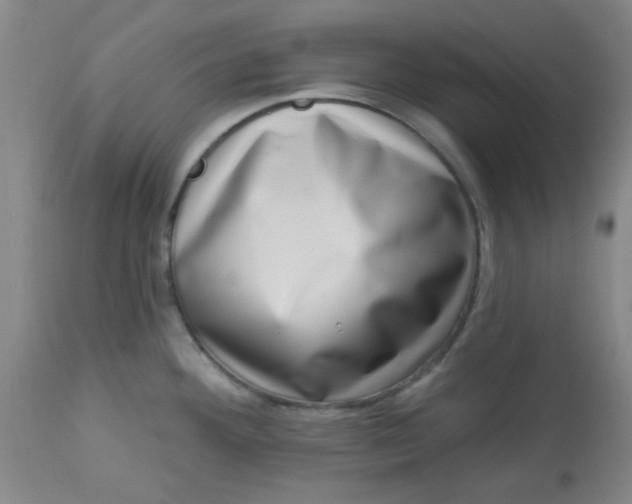 X0000113631292200910091546