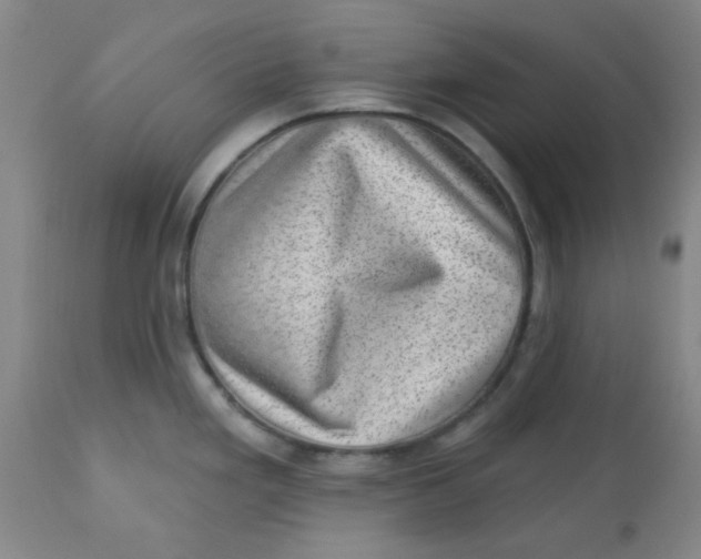 X0000113631293200910091546