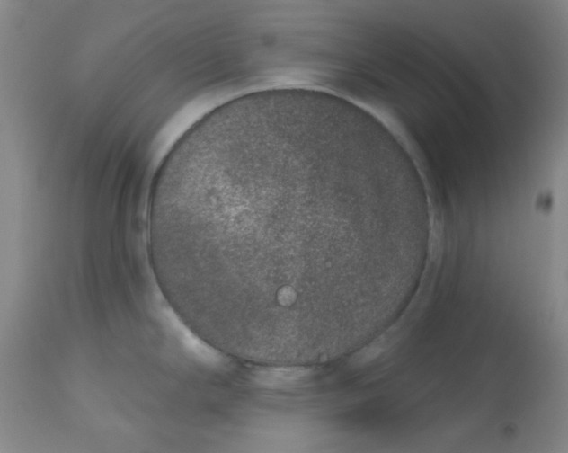 X0000113631294200910091546
