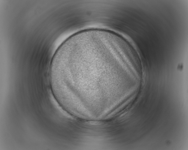 X0000113631295200910091546