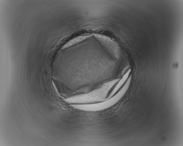 X0000113631297200910091546