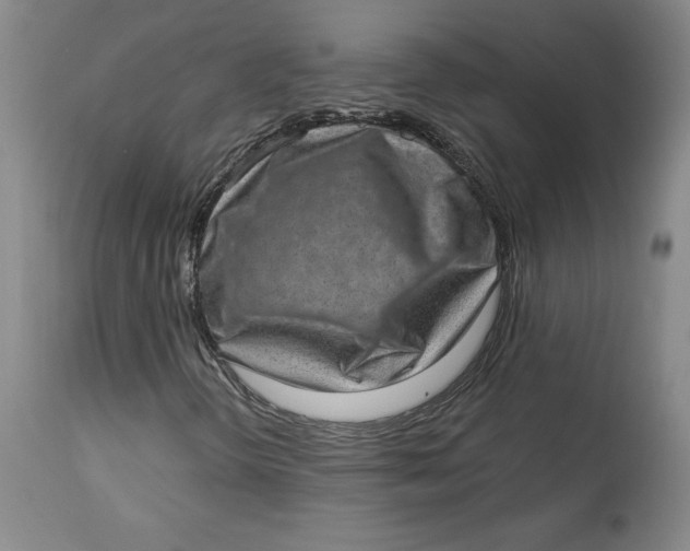 X0000113631298200910091546