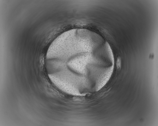 X0000113631299200910091546