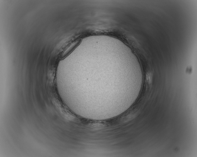 X0000113631300200910091546