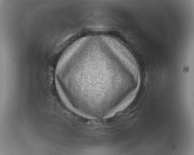 X0000113631301200910091546