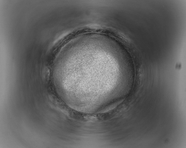 X0000113631302200910091546