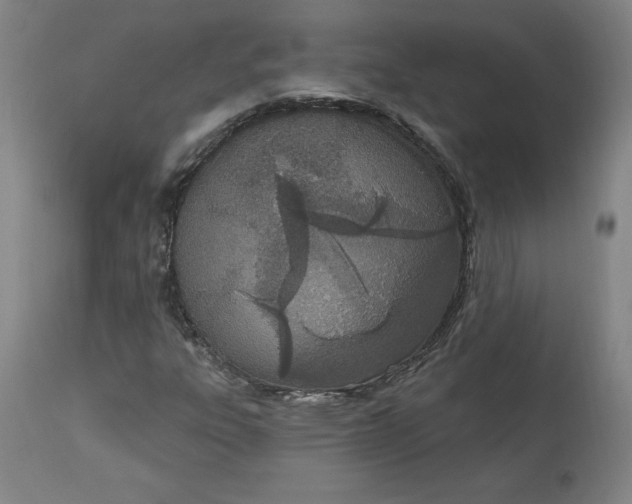 X0000113631303200910091546