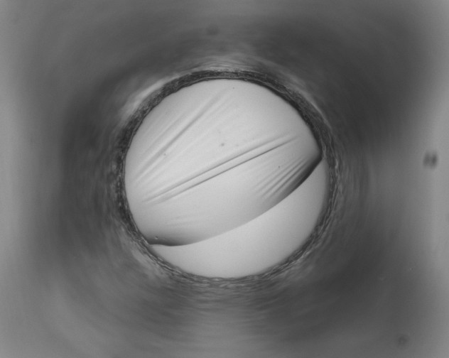 X0000113631304200910091546