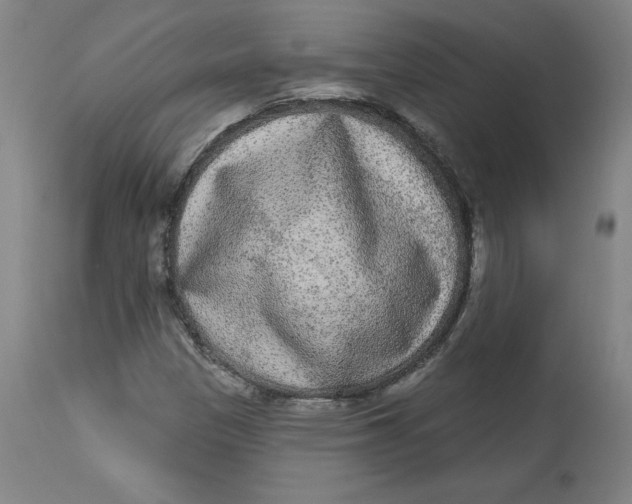 X0000113631305200910091546