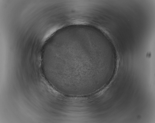 X0000113631306200910091546