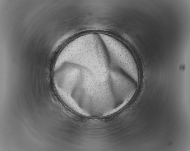 X0000113631307200910091546