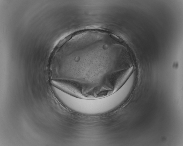 X0000113631308200910091546