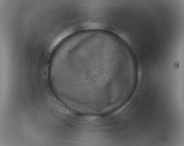 X0000113631309200910091546