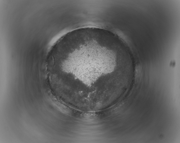 X0000113631310200910091546