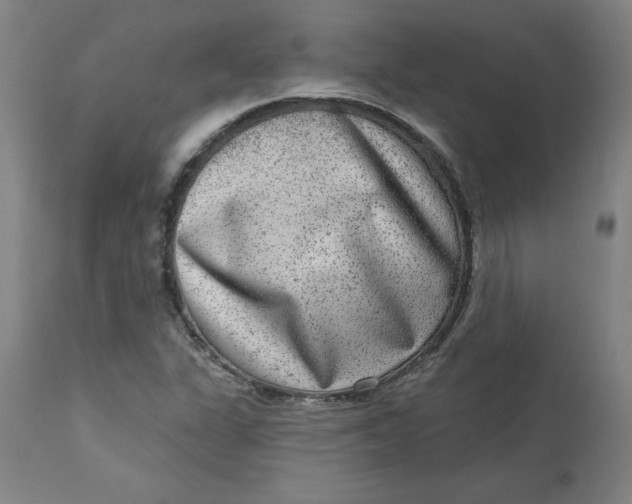 X0000113631311200910091546