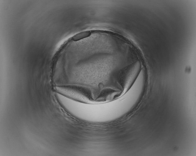 X0000113631312200910091546