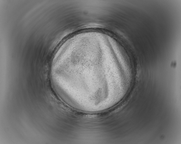 X0000113631313200910091546