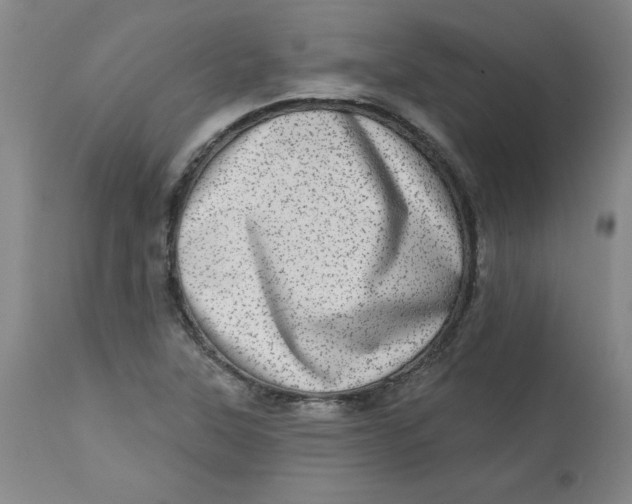 X0000113631315200910091546
