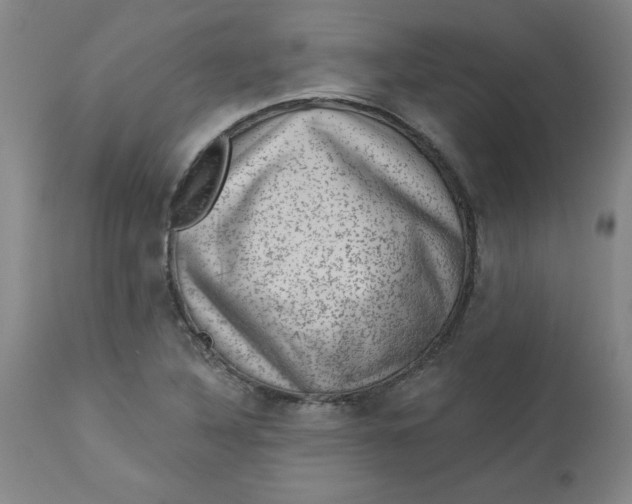X0000113631316200910091546