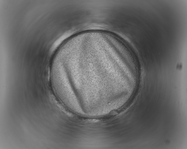X0000113631317200910091546