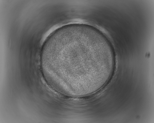 X0000113631318200910091546