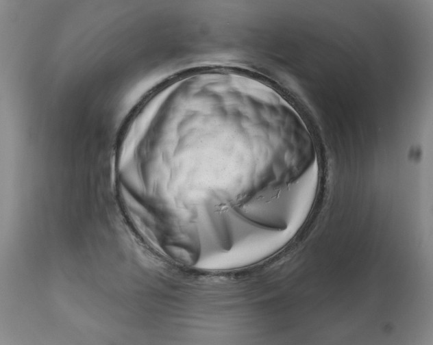 X0000113631320200910091546