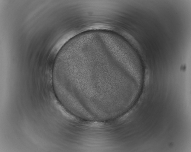 X0000113631321200910091546