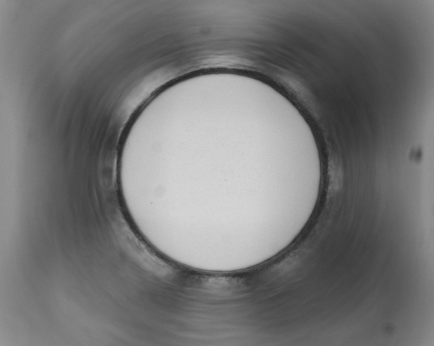 X0000113631322200910091546