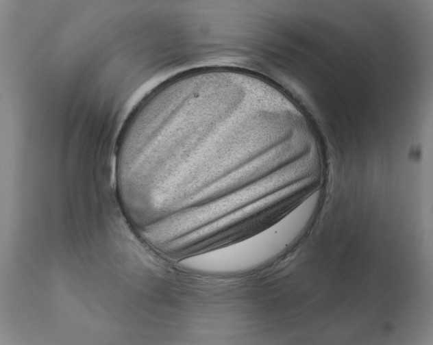 X0000113631324200910091546