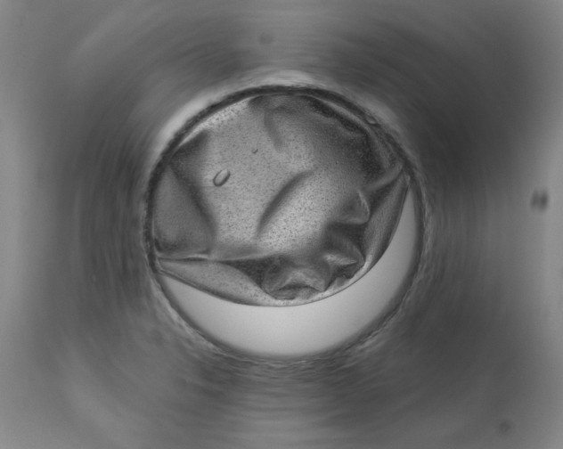 X0000113631326200910091546