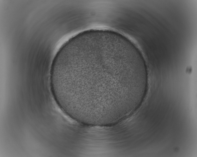 X0000113631327200910091546
