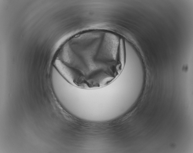 X0000113631328200910091546