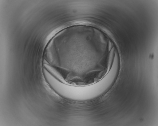 X0000113631330200910091546