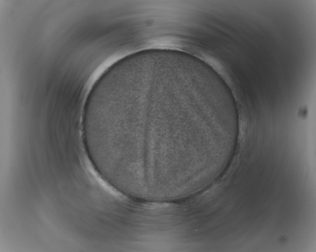 X0000113631331200910091546
