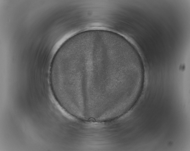 X0000113631333200910091546