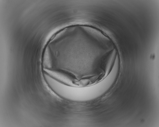 X0000113631334200910091546