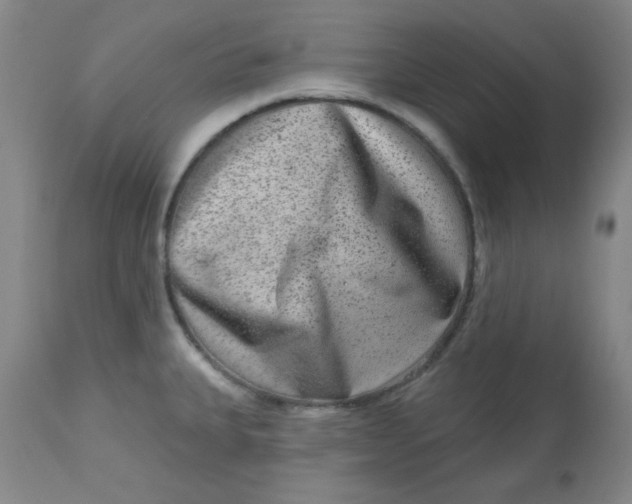 X0000113631335200910091546