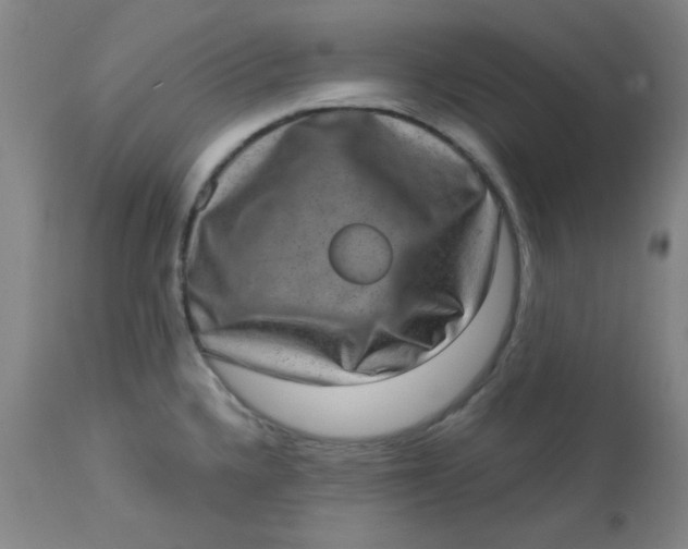 X0000113631336200910091546