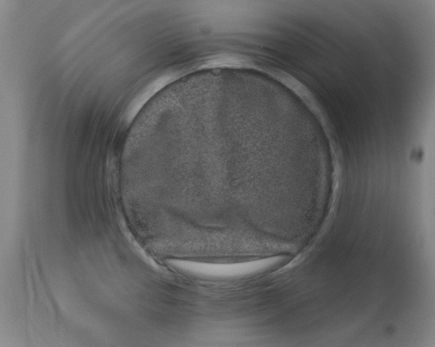 X0000113631337200910091546
