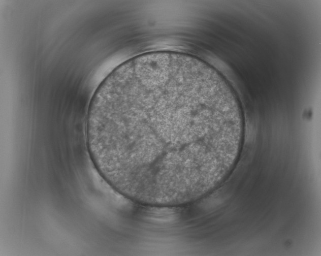 X0000113631338200910091546
