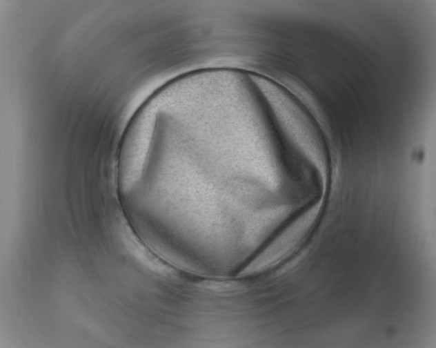 X0000113631340200910091546