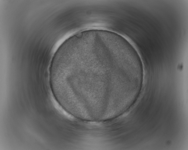 X0000113631341200910091546