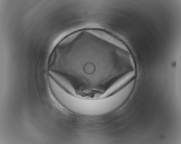 X0000113631342200910091546