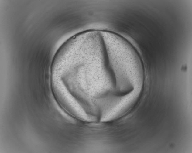 X0000113631343200910091546
