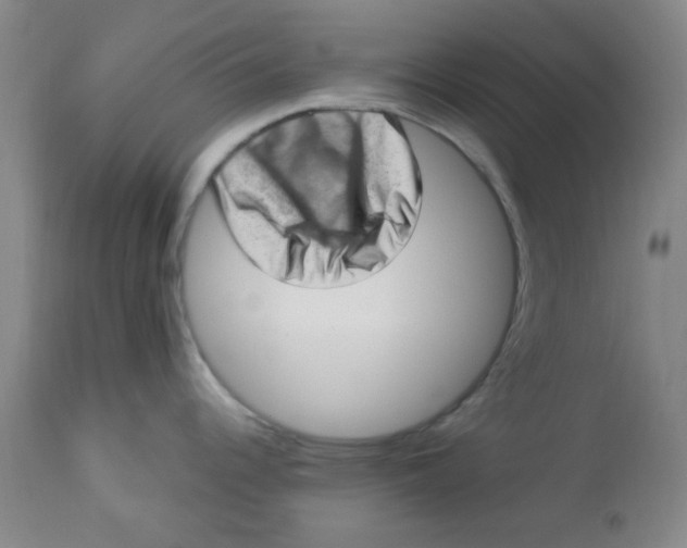 X0000113631344200910091546