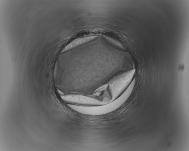 X0000113631345200910091546